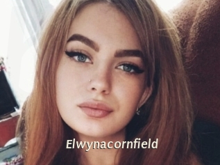 Elwynacornfield