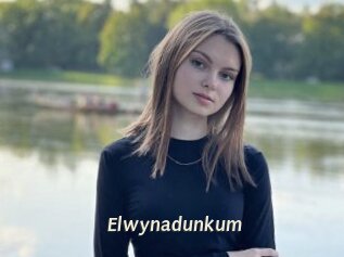 Elwynadunkum