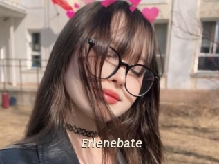 Erlenebate