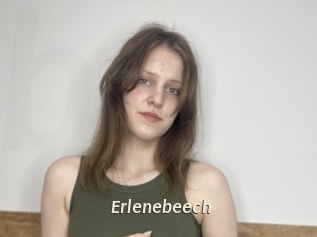 Erlenebeech