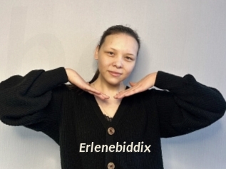 Erlenebiddix