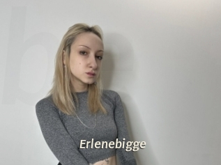 Erlenebigge