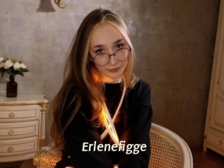 erlenefigge Blog éjac