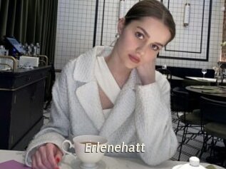 Erlenehatt