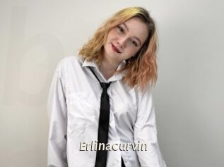 Erlinacurvin