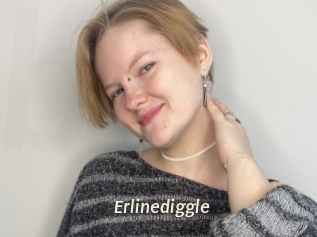 Erlinediggle