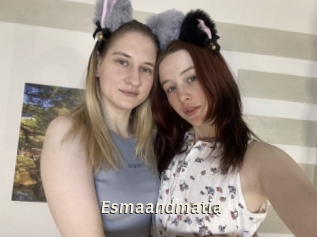 Esmaandmatia
