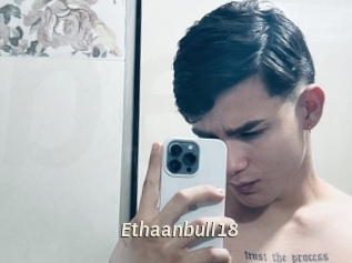 Ethaanbull18