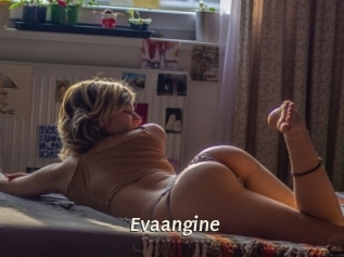 Evaangine