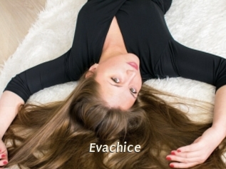 Evachice