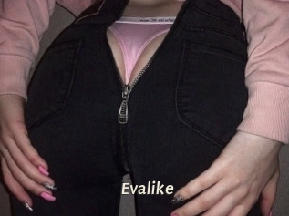 Evalike