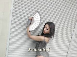 Evamadriid