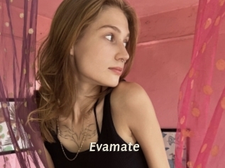 Evamate