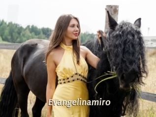 Evangelinamiro