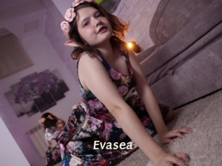 Evasea