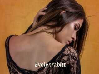 Evelynrabitt