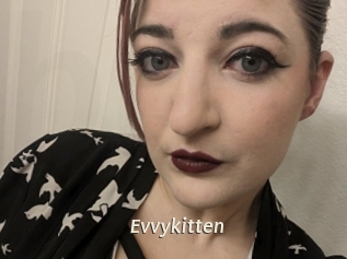 Evvykitten