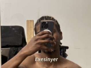 Exesinyer