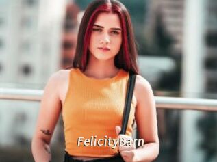 FelicityBarn