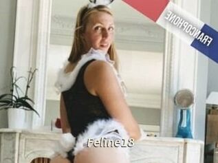Feline18