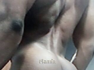 Flamin