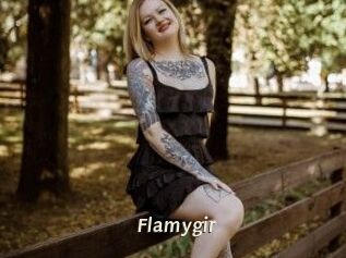 Flamygir