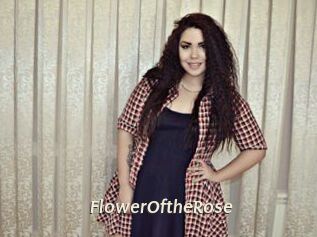 FlowerOftheRose