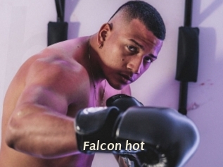 falcon_hot Blog éjac