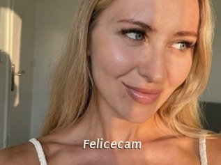 Felicecam