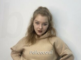 Felicecovil