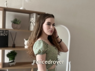 Felicedrover