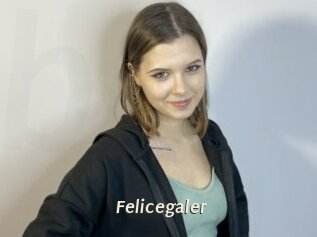 Felicegaler