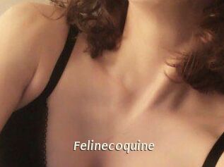 Felinecoquine
