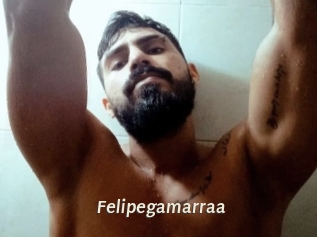 Felipegamarraa