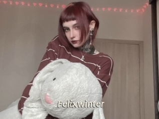 Felixwinter