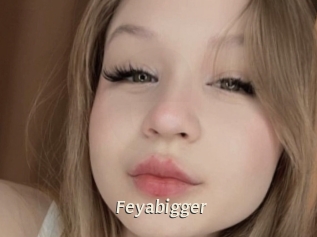 Feyabigger