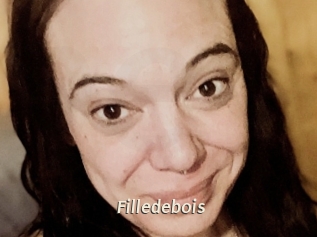 Filledebois