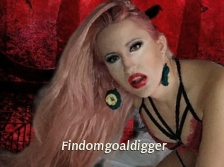 Findomgoaldigger