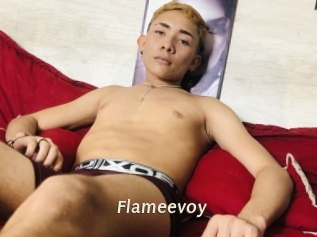 Flameevoy