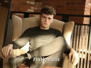 Flashwallis