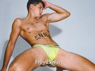 Floydswan
