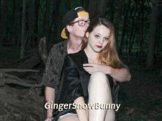 GingerSnowBunny