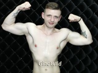 GinoWIld Blog éjac