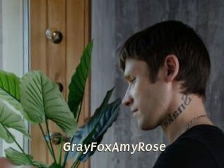 GrayFoxAmyRose