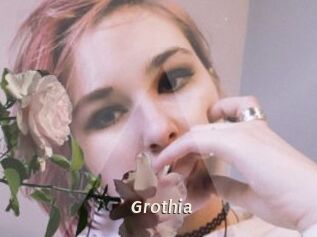 Grothia