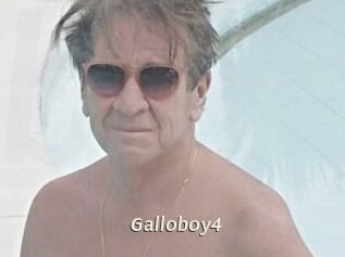 Galloboy4