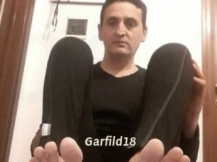 Garfild18