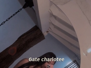 Gate_charlotee