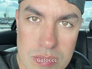 Gatoccc
