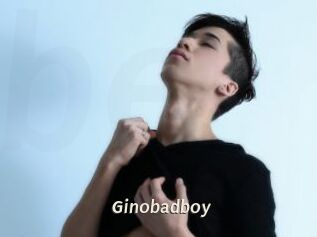 Ginobadboy